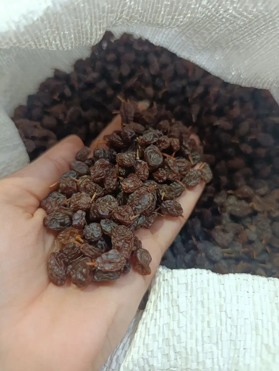 کشمش درجه یک آفتابی|خوردنی و آشامیدنی|بوشهر, |دیوار