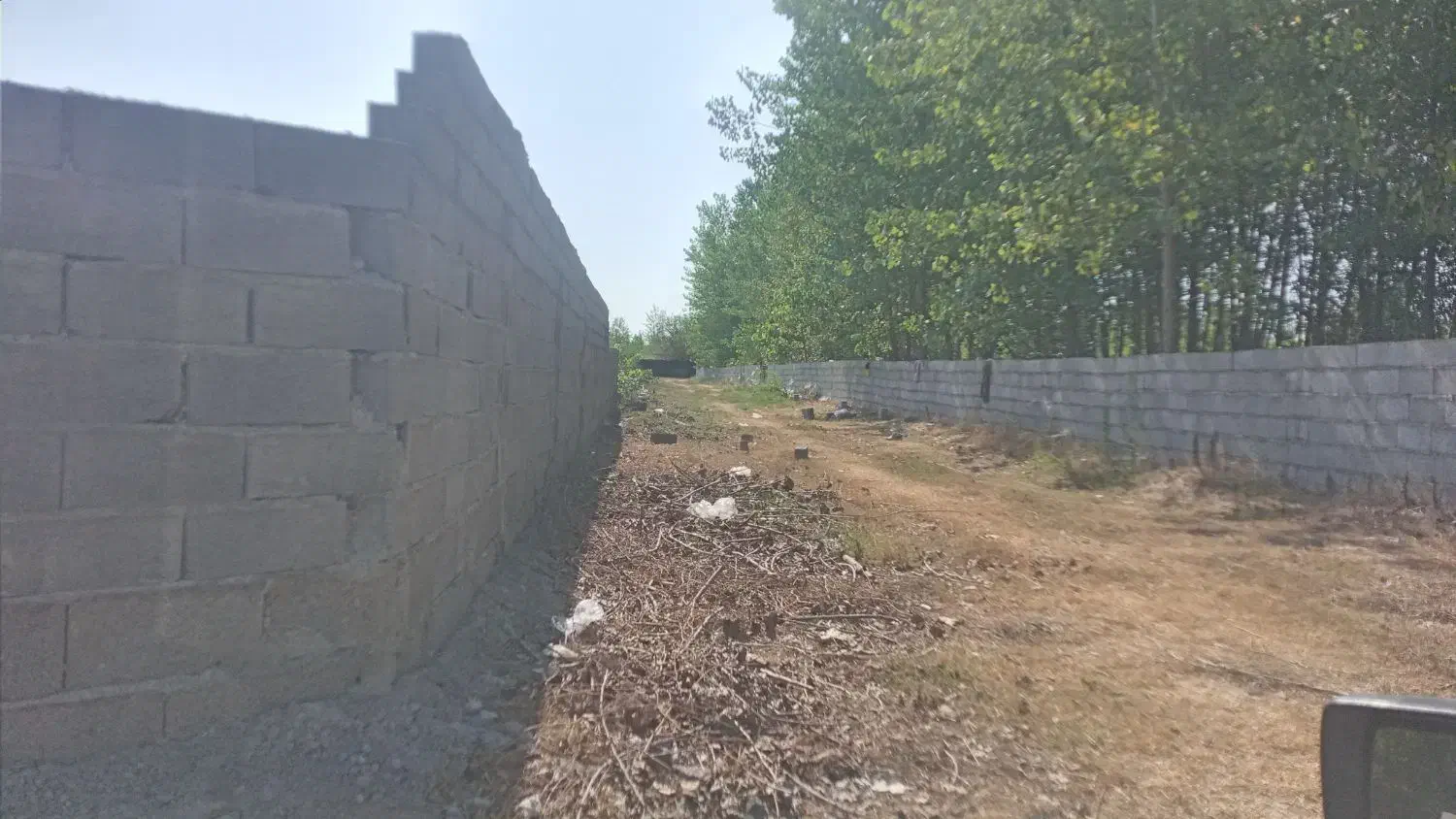 فروش زمین باغی 450متر گیلان لنگرود بندر چمخاله|فروش زمین و ملک کلنگی|چاف و چمخاله, |دیوار