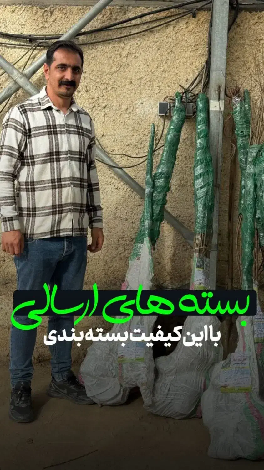 نهال بادام تضمینی سالم نهال|خدمات باغبانی و درختکاری|کرمانشاه, |دیوار
