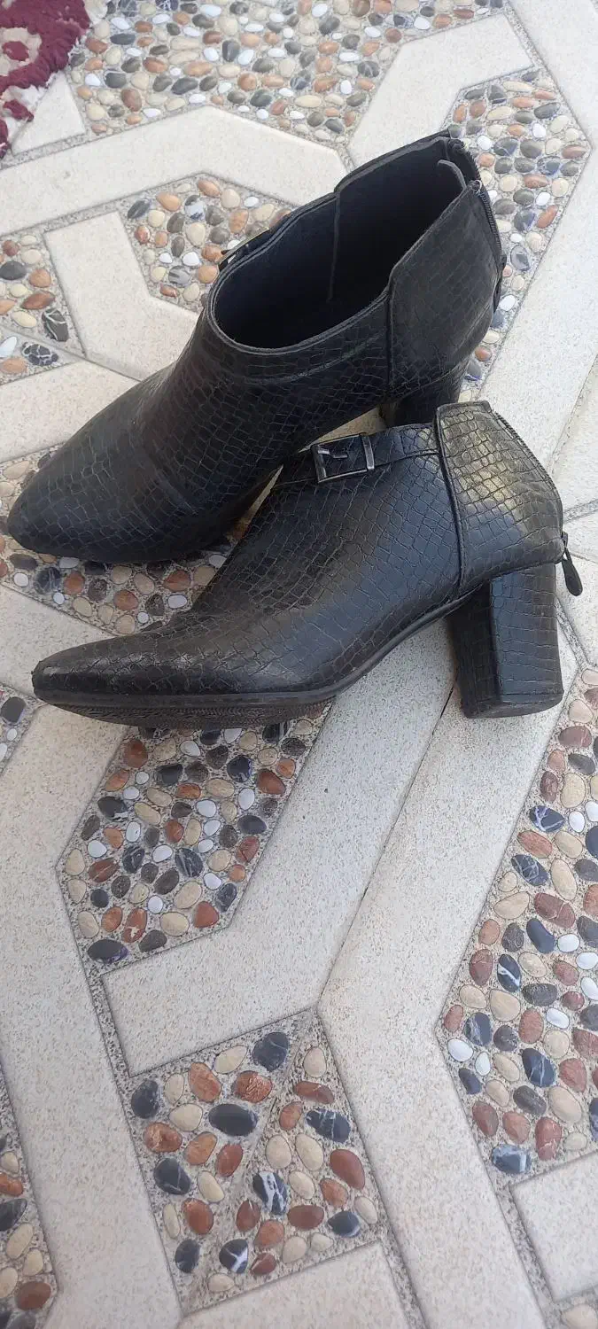 کفش|کیف، کفش، کمربند|اهر, |دیوار