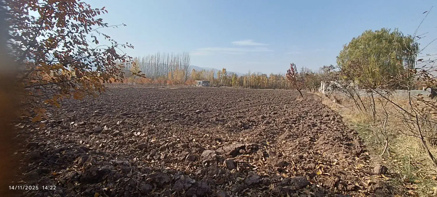 باغ بالاتر از رحیم لینچان|فروش زمین و ملک کلنگی|فیرورق, |دیوار