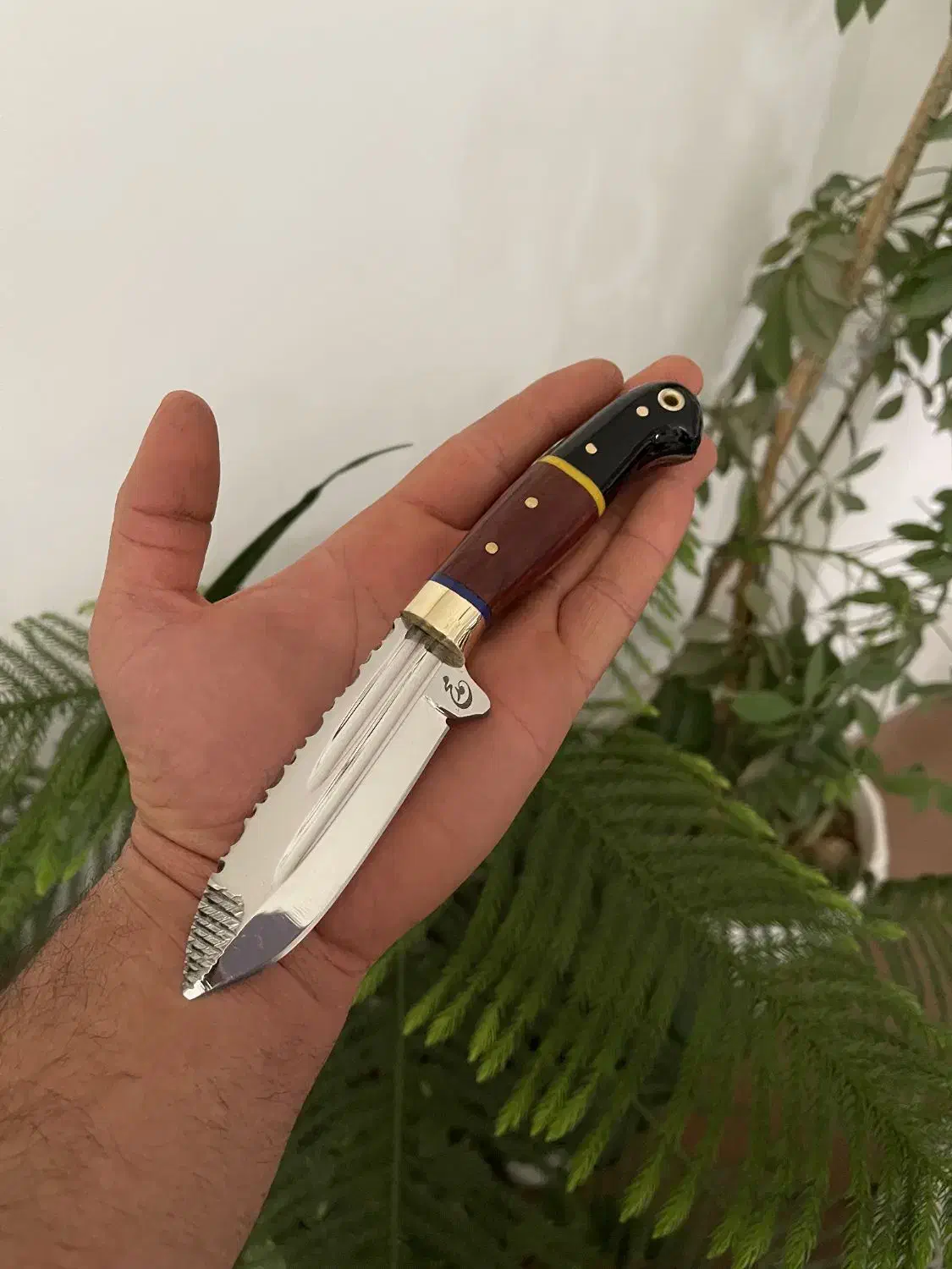 کاردشکاری|کلکسیون اشیاء عتیقه|نقده, |دیوار