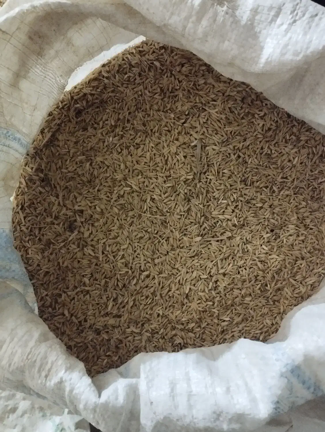 شالی دله درجه یک|خوردنی و آشامیدنی|سنگدوین, |دیوار