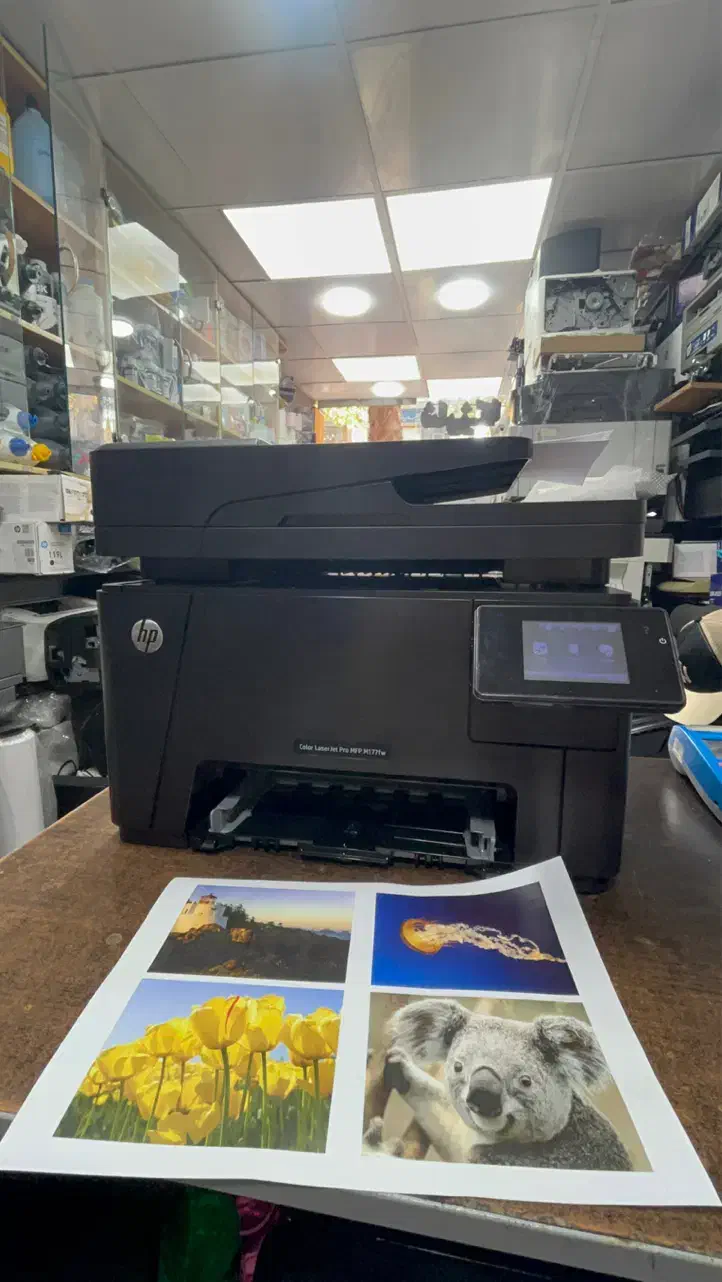 چاپ رنگی شفاف با پرینتر HP M177fw|پرینتر، اسکنر، کپی، فکس|گرگان, |دیوار