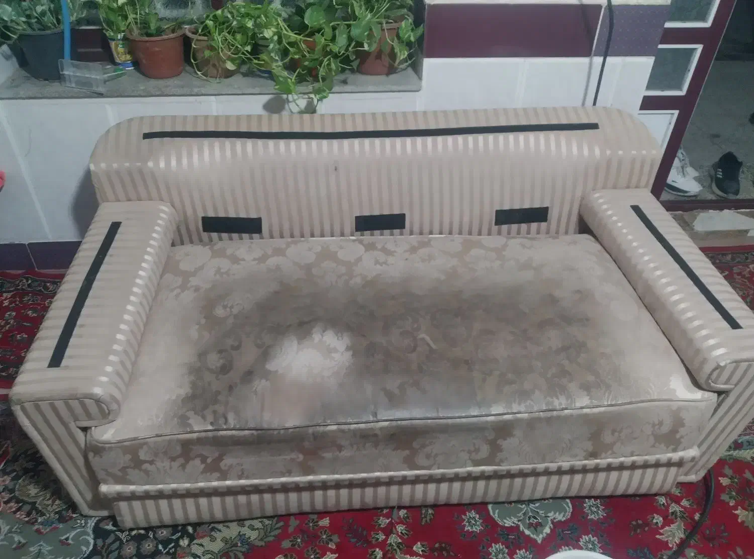 مبل شویی و قالی شویی درمحل از شهر کردکوی تا کلاله|خدمات نظافت|علی‌آباد کتول, |دیوار