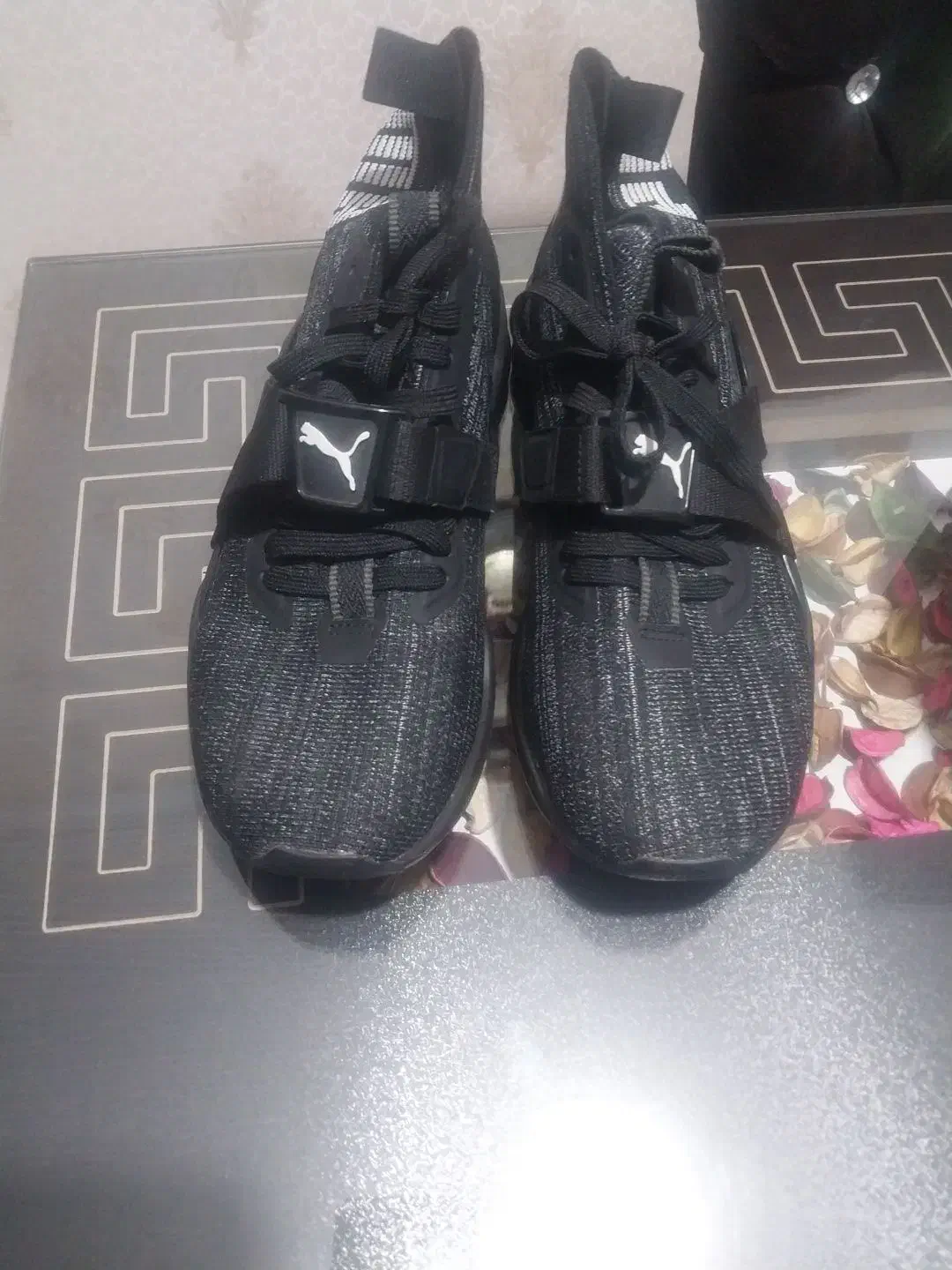 کفش نو|کیف، کفش، کمربند|تهران, خرمشهر|دیوار