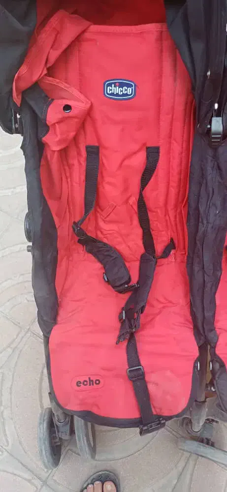 کالسکه دوقلو|کالسکه و لوازم جانبی|اصفهان, باغ دریاچه|دیوار