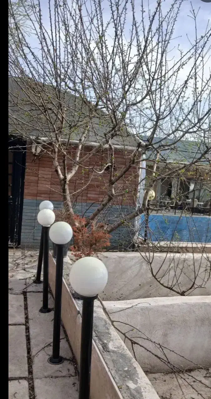 هرس کاری|خدمات باغبانی و درختکاری|ارومیه, |دیوار