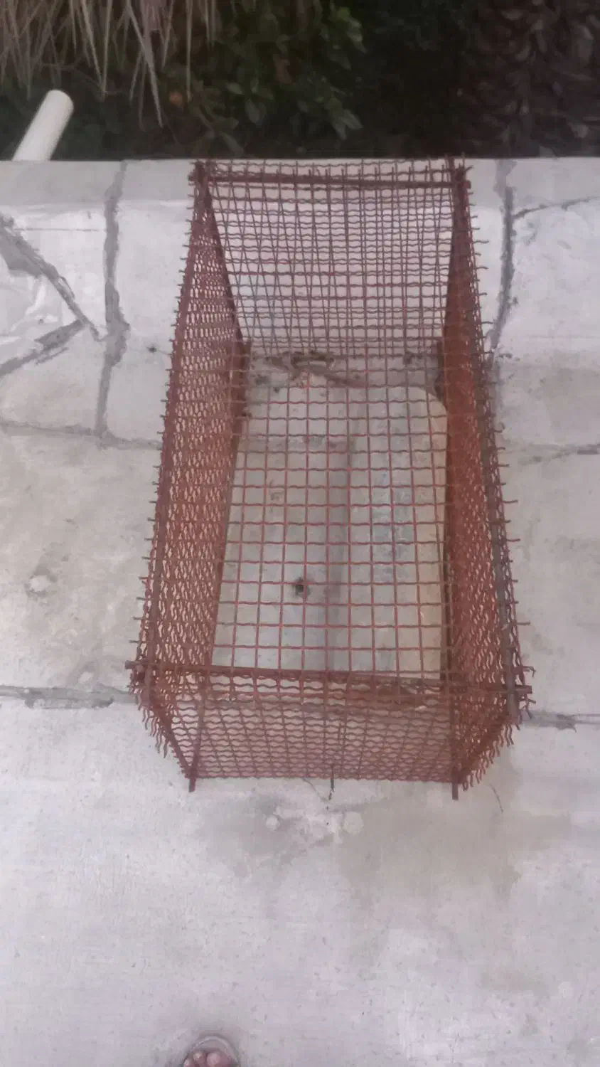 قفس|لوازم جانبی حیوانات|میناب, |دیوار