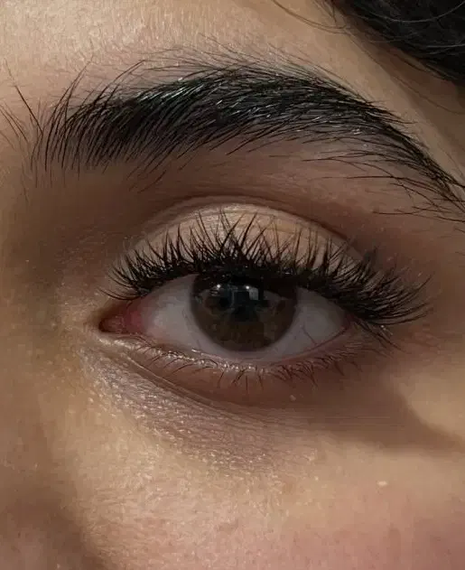 مدل هیدن|خدمات آرایشگری و زیبایی|رشت, صفاری|دیوار