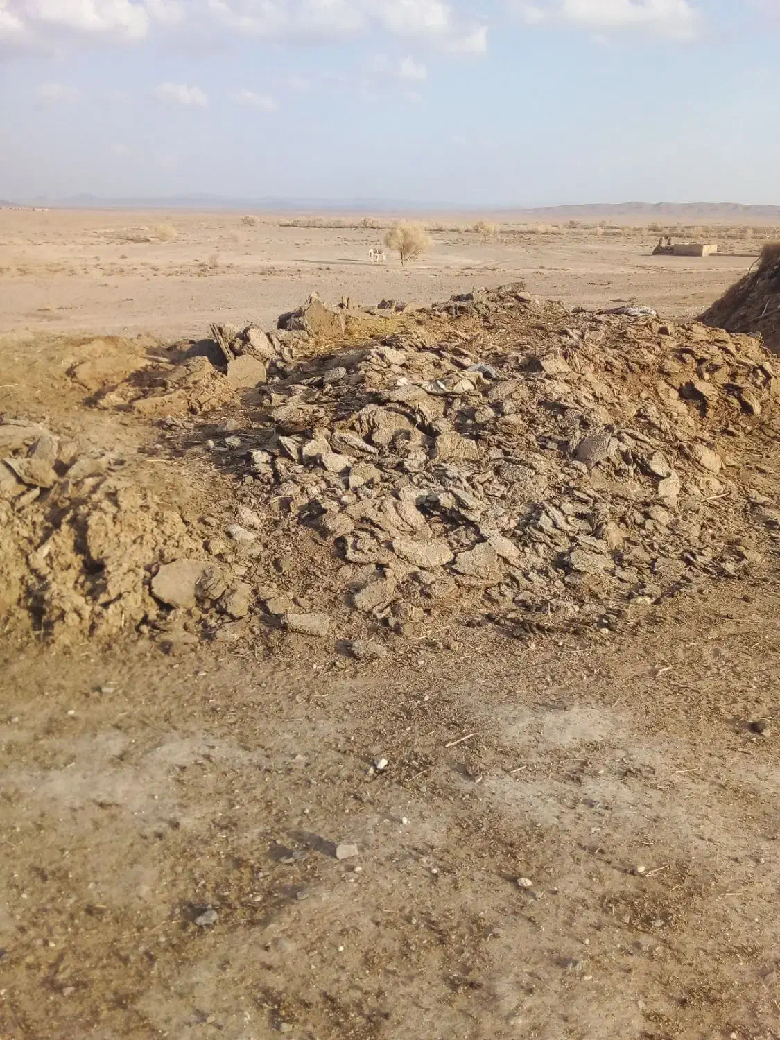 کودگوسفندی|لوازم جانبی حیوانات|سده (خراسان جنوبی), |دیوار