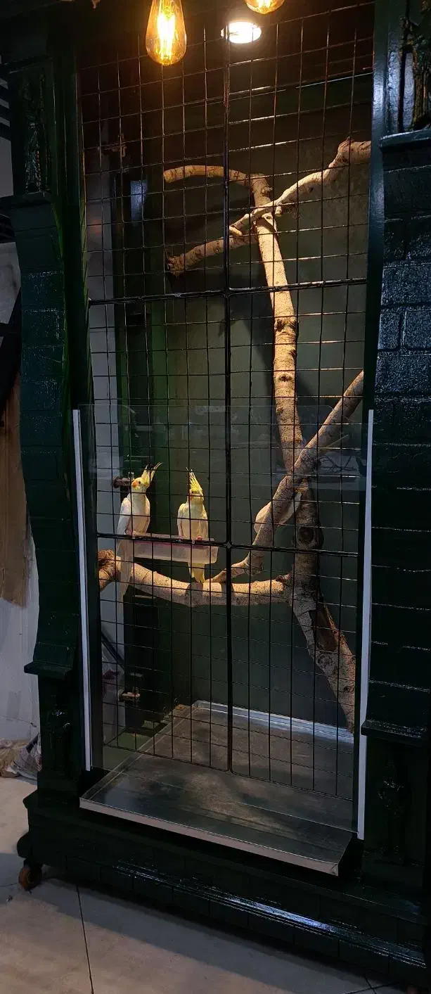 قفس پرنده|لوازم جانبی حیوانات|قائن, |دیوار