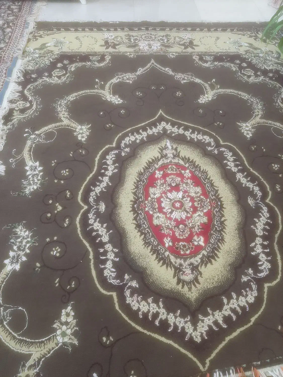 فرش۱۲متری|فرش|شیراز, شهدای شهرک سعدی|دیوار