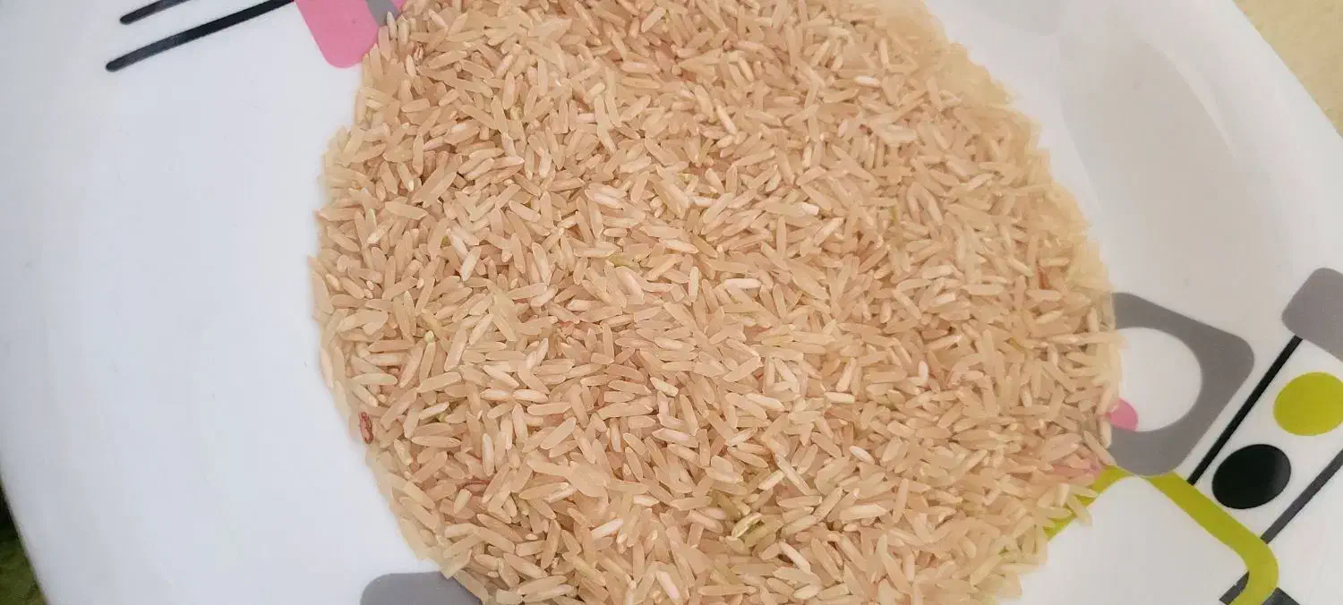 برنج ضیغمی سیروان|خوردنی و آشامیدنی|سیروان, |دیوار