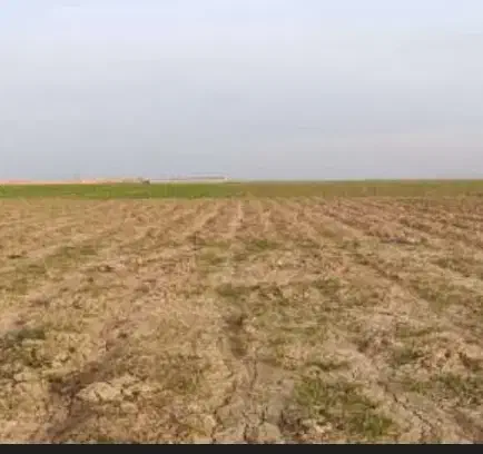 زمین رو کانال آب ۱۲هکتار|فروش دفتر صنعتی، کشاورزی، تجاری|شوش, |دیوار