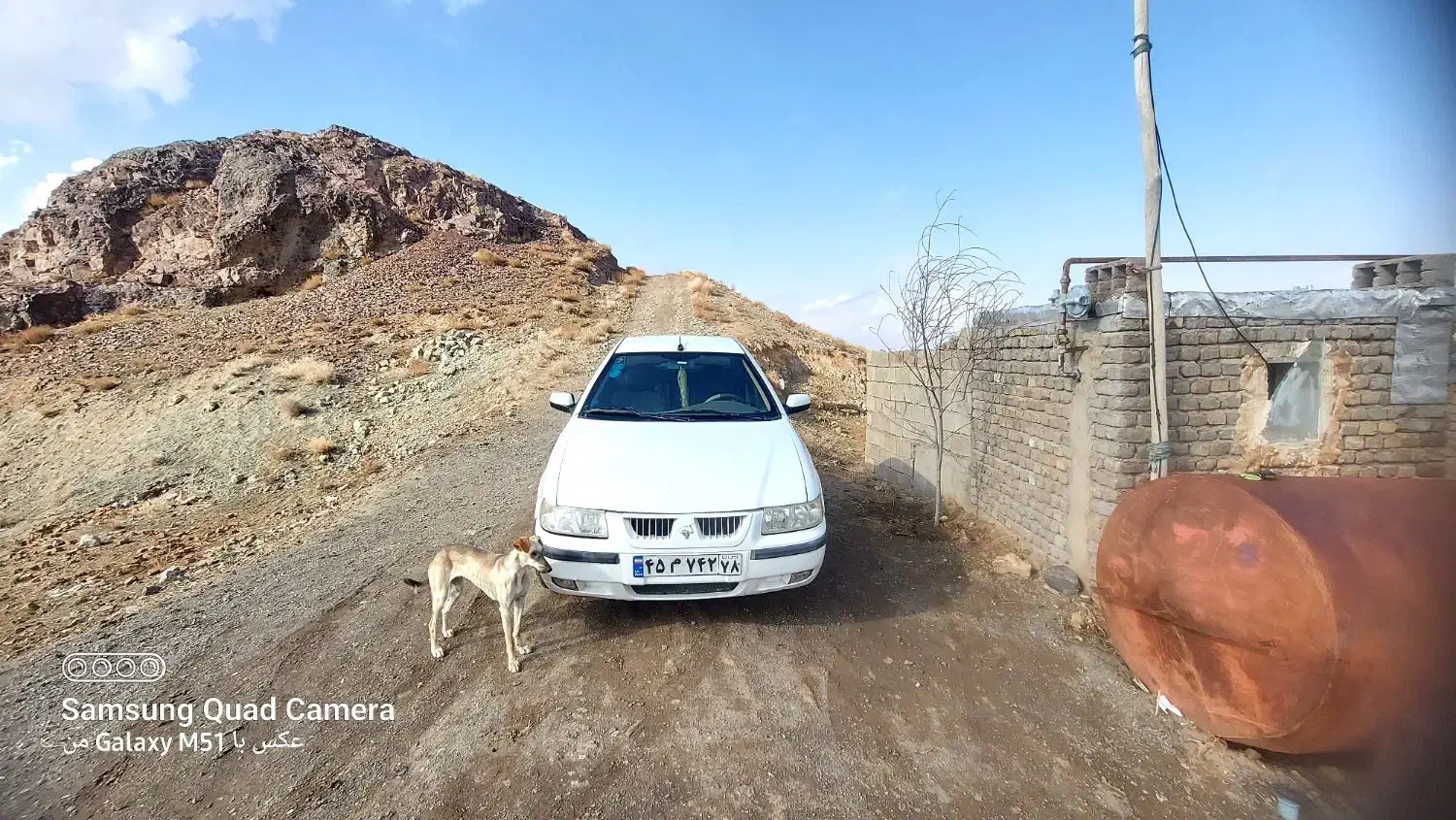 سمند پایه گاز سوز مدل ۹۱|خودرو سواری و وانت|تربت‌حیدریه, پایانه مسافربری تربت حیدریه|دیوار