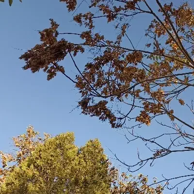 کارت ملی گم کردم|اشیا|کرمانشاه, |دیوار