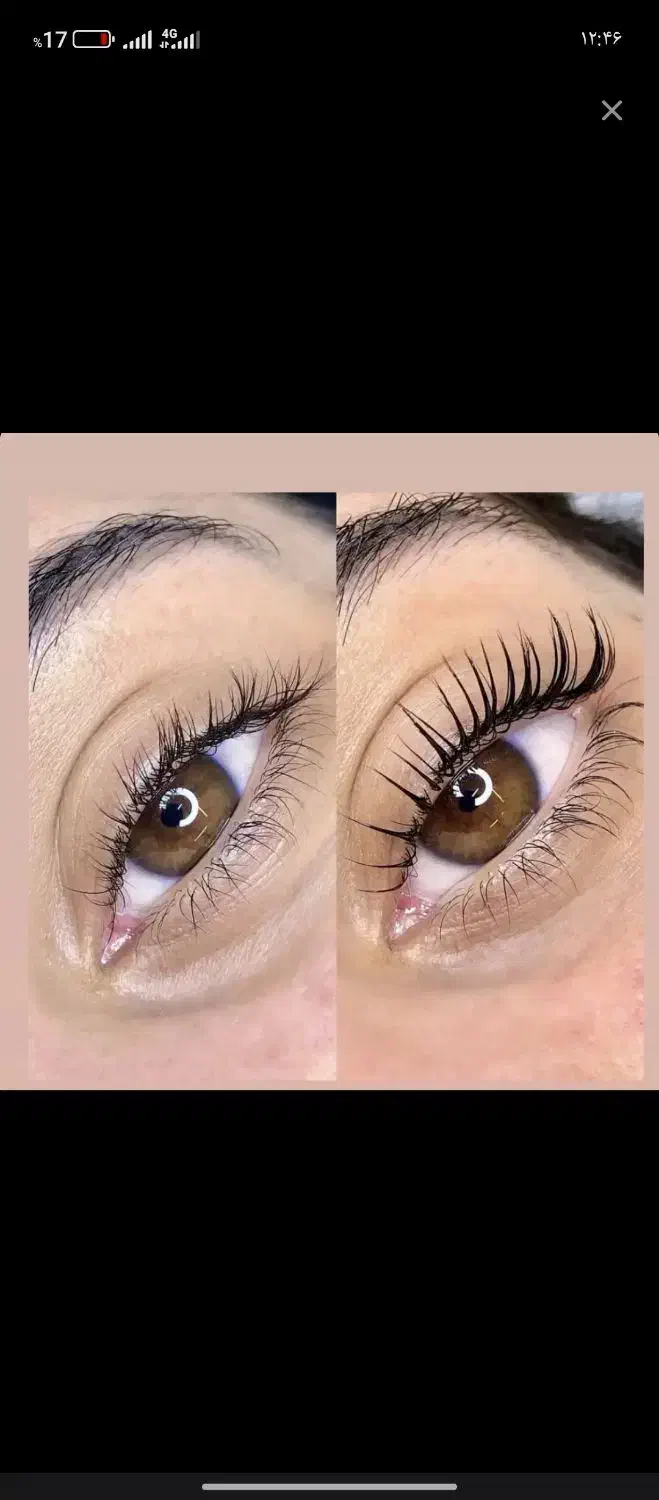 آموزش|خدمات آموزشی|تربت جام, بوستان وحدت|دیوار