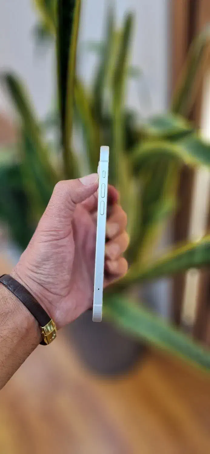 iphone 12 ایفون اقساطی و نقدی|موبایل|تهران, جردن|دیوار