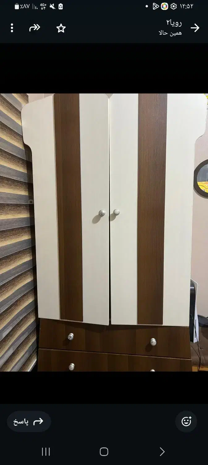 کمد لباس و دکور|جاکفشی، کمد، دراور|سیرجان, |دیوار