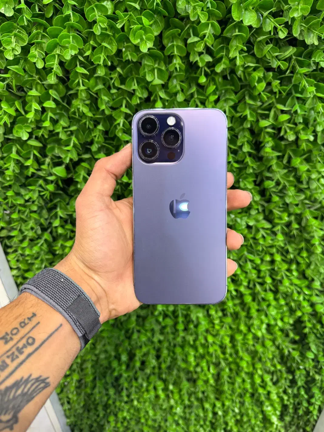 iphone 14 pro max|موبایل|تهران, باغ فیض|دیوار