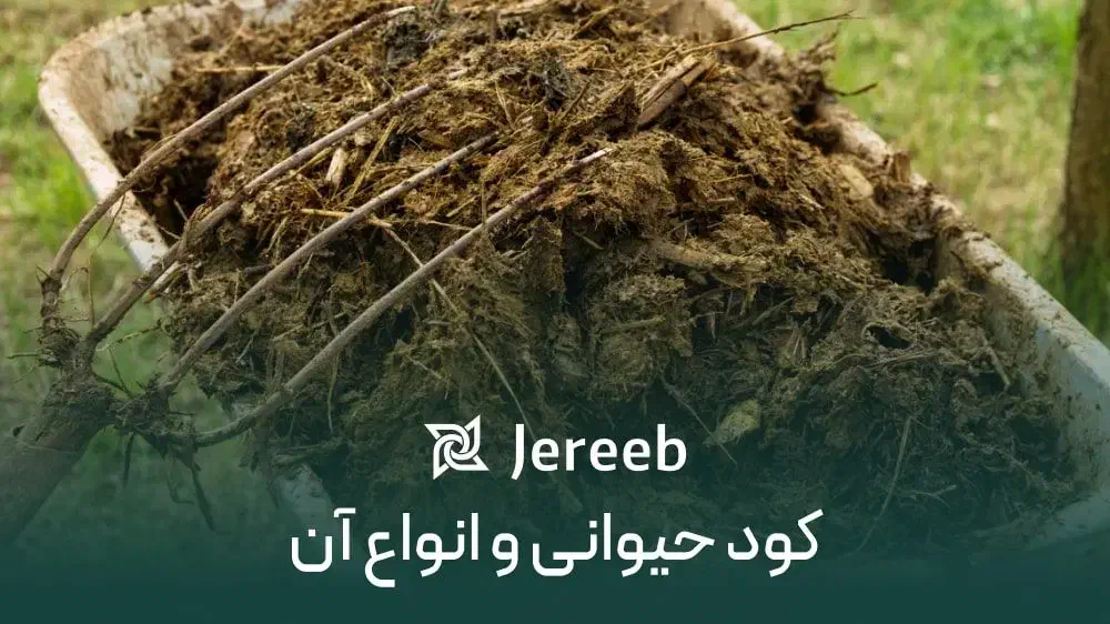 کود دامی|خدمات باغبانی و درختکاری|اسلامشهر, شهرک واوان|دیوار