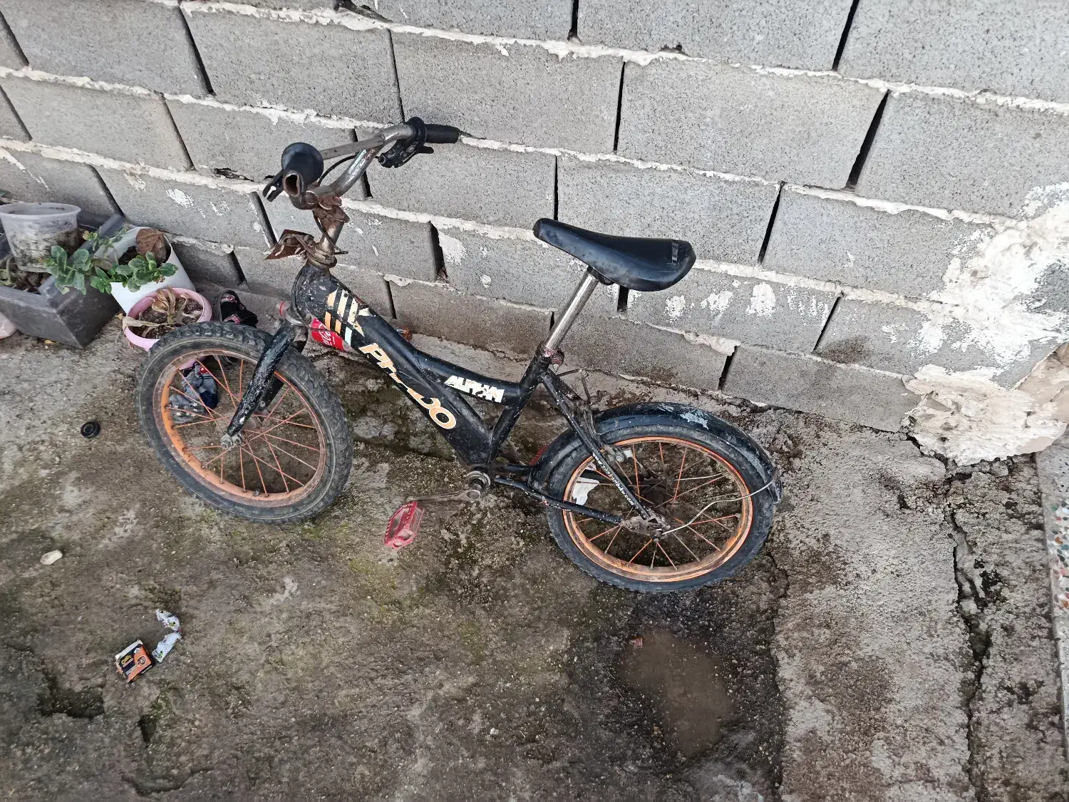 دوچرخه 26|دوچرخه، اسکیت، اسکوتر|گالیکش, |دیوار