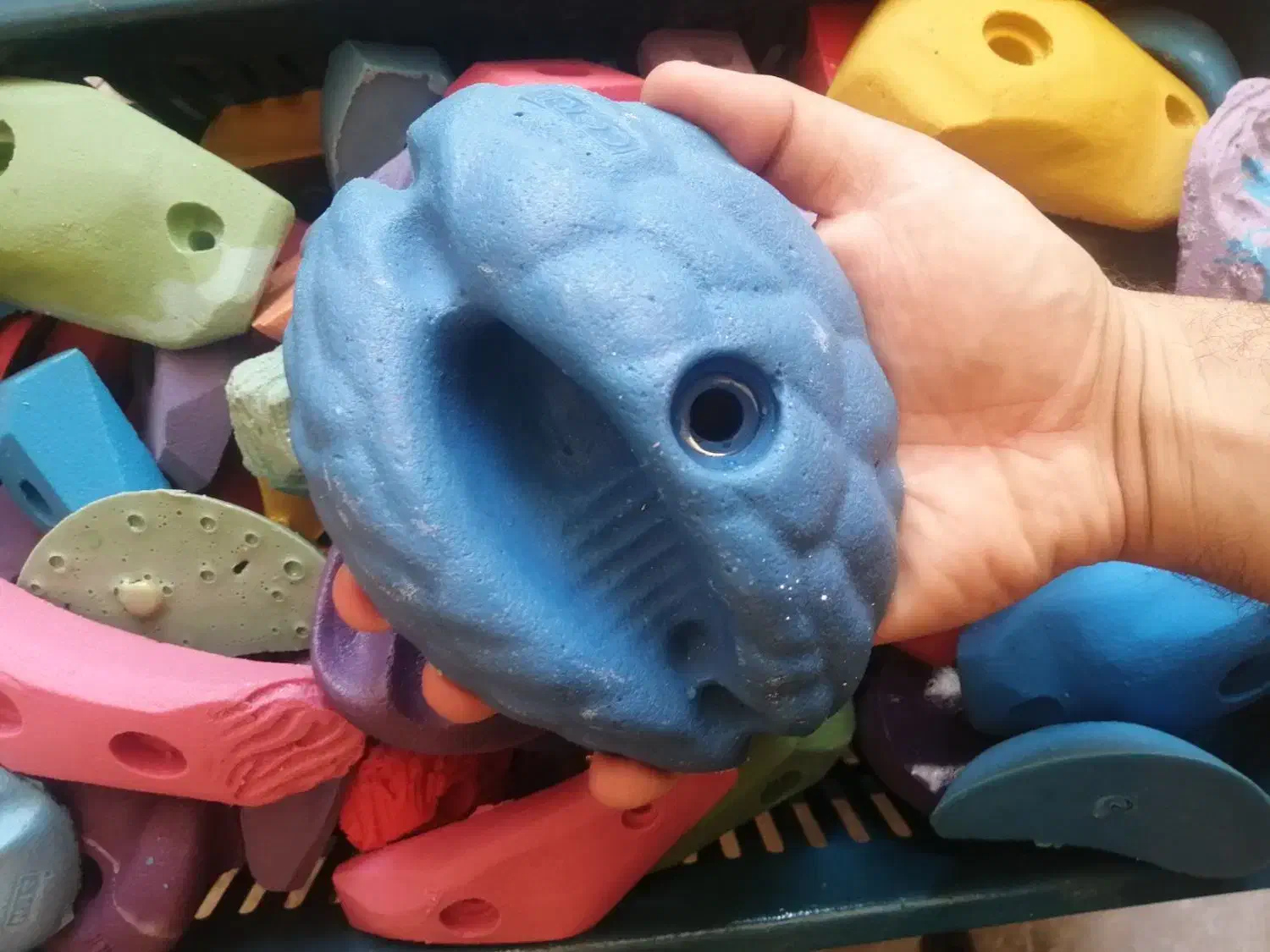 گیره صخره نوردی کودک و نوجوانان|کوهنوردی و کمپینگ|ساری, |دیوار