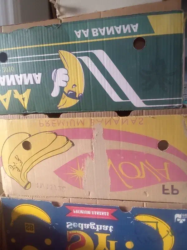 کارتن موزجفتی 20|حراج|بجنورد, |دیوار