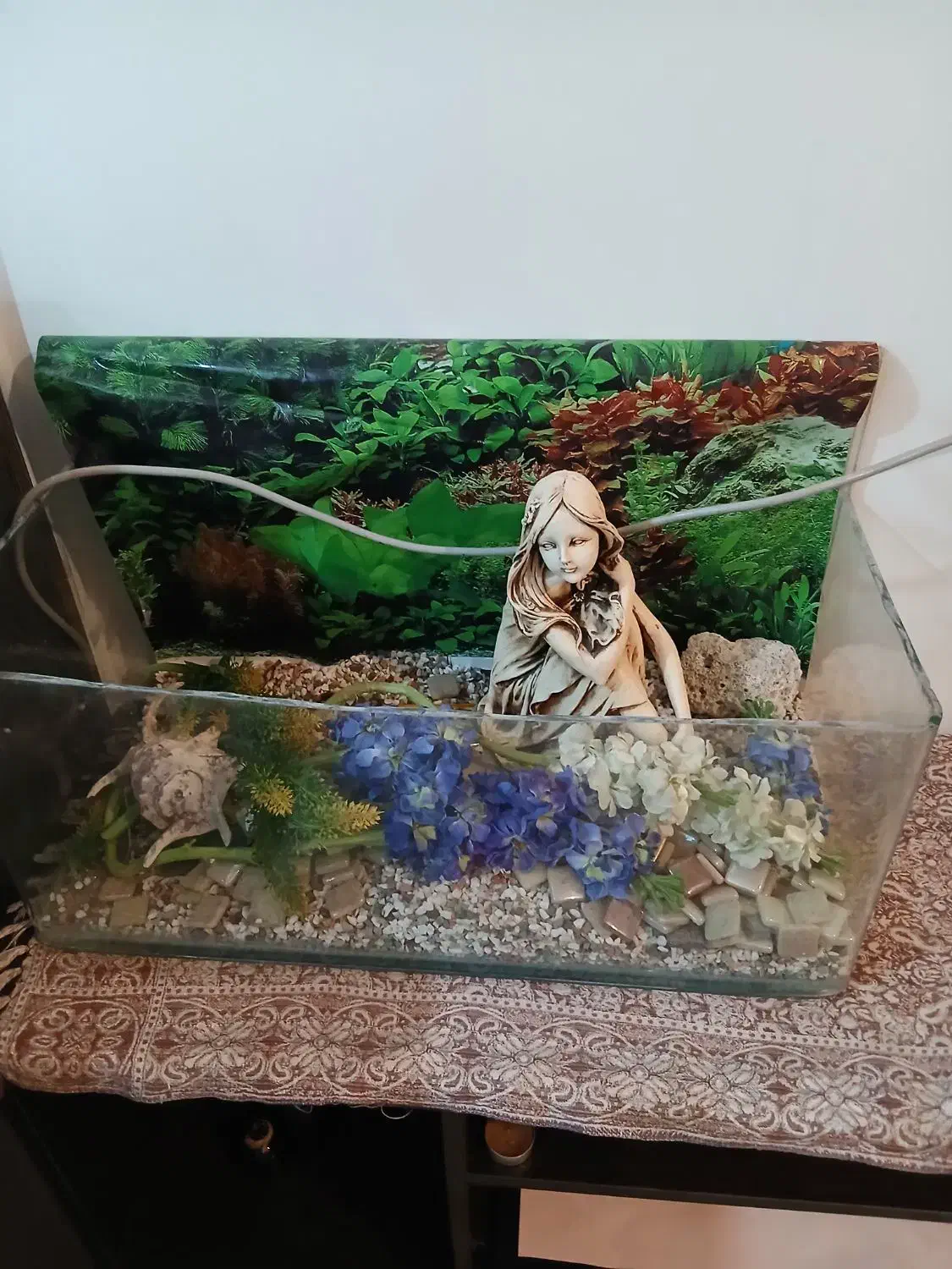 اکواریوم|ماهی|اسالم, |دیوار