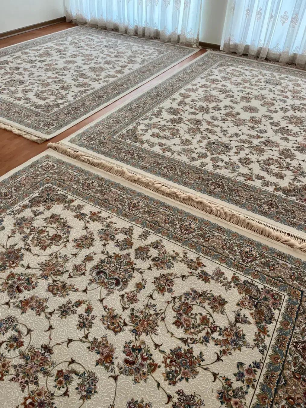 فروش سه عدد فرش ۹ متری مرینوس زندیه|فرش|شیراز, چوگیاه‎|دیوار