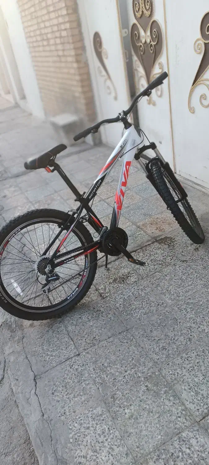 دوچرخه ویوا ۲۶|دوچرخه، اسکیت، اسکوتر|اهواز, فرهنگ شهر|دیوار