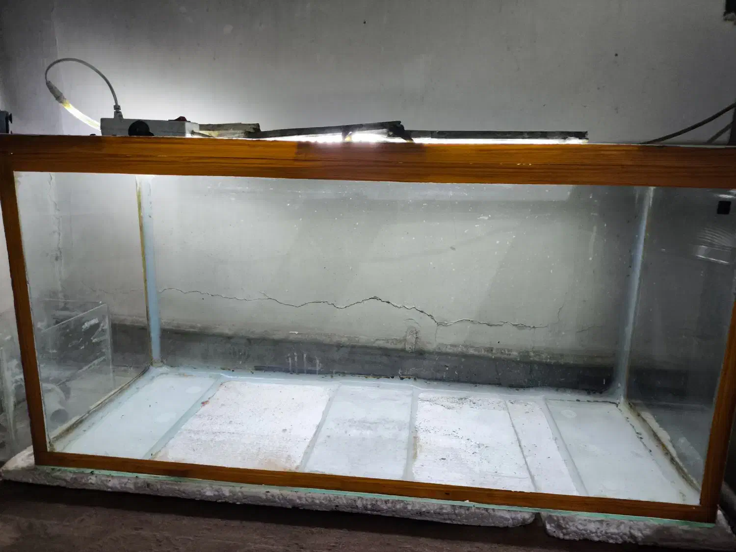 آکواریوم طول 100|ماهی|خمینیشهر, |دیوار