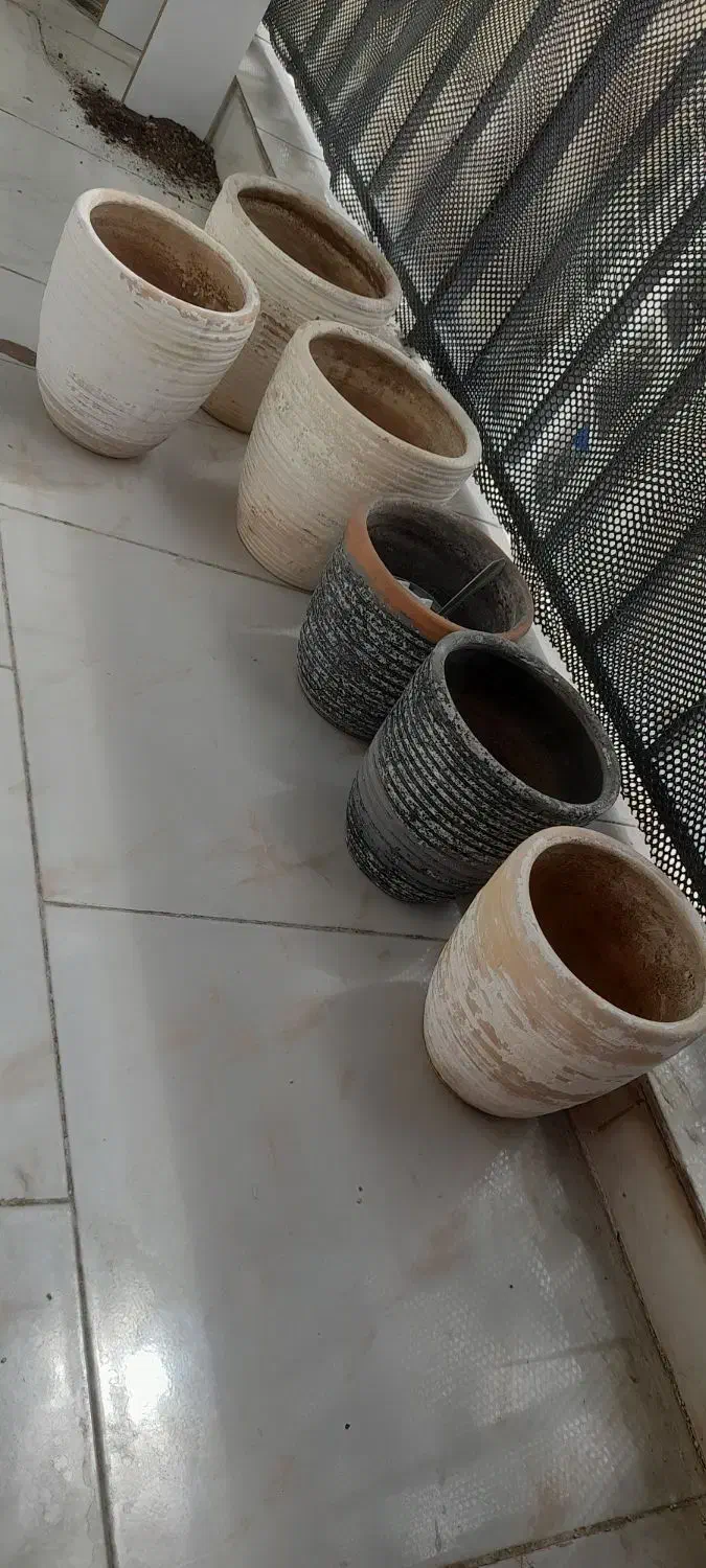 گلدان بزرگ و کوچک درحد نو فقط فروش|گل و گیاه طبیعی|پردیس, فاز ۱۱|دیوار