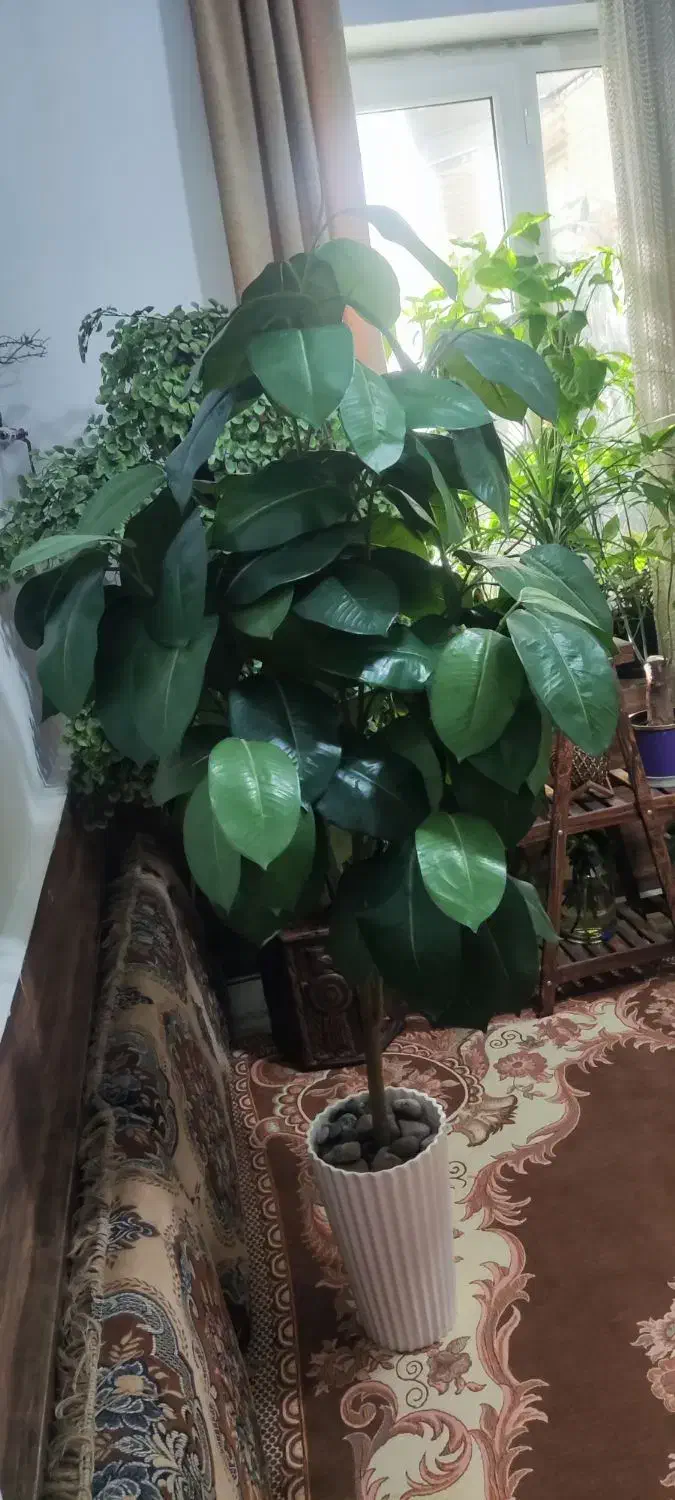 گل مصنوعی|گل مصنوعی|تهران, سلیمانی|دیوار