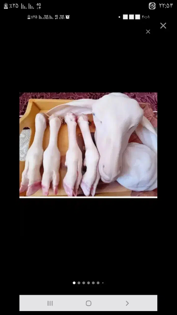 کله پاچه بزغاله تمیز شده ۸۰۰|خوردنی و آشامیدنی|بجنورد, |دیوار