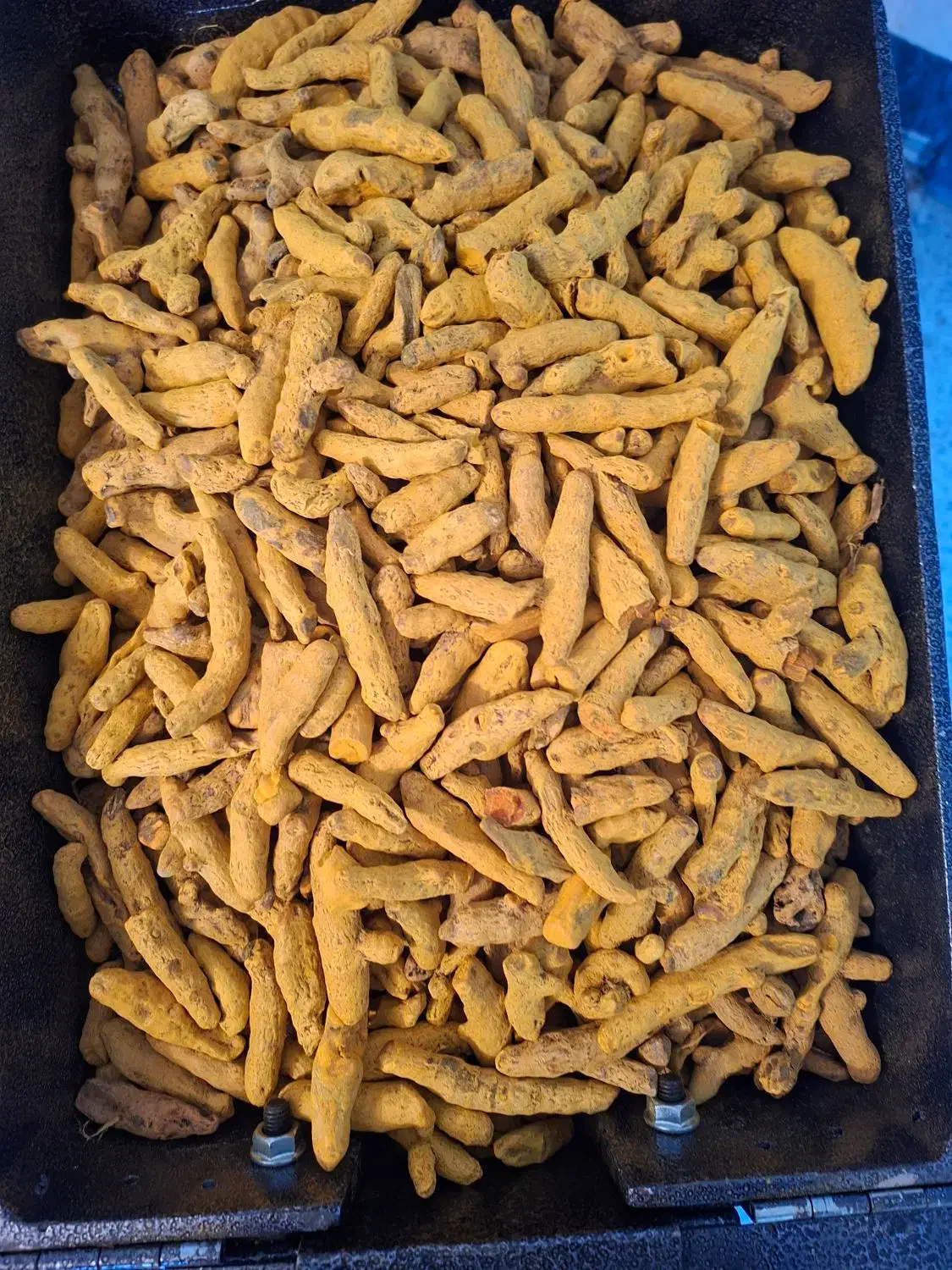 پخش عمده زردچوبه قلم و پودر|عمدهفروشی|مرند, |دیوار