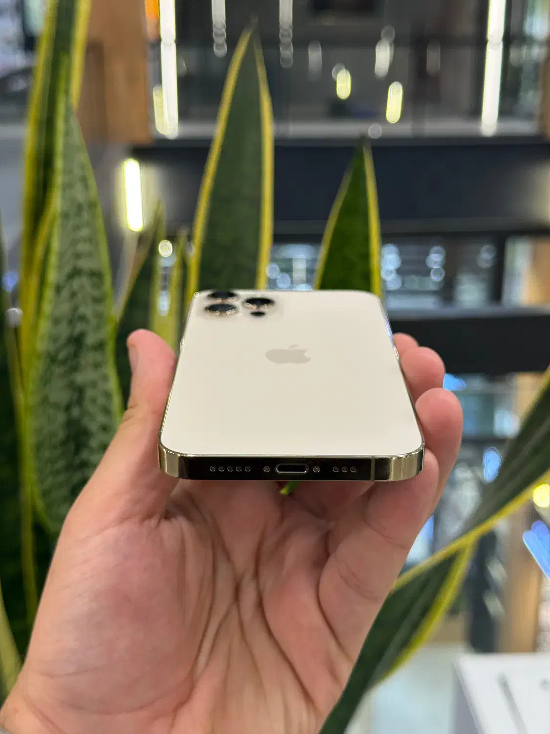 آیفون ۱۲ پرو|موبایل|رشت, چله خانه|دیوار