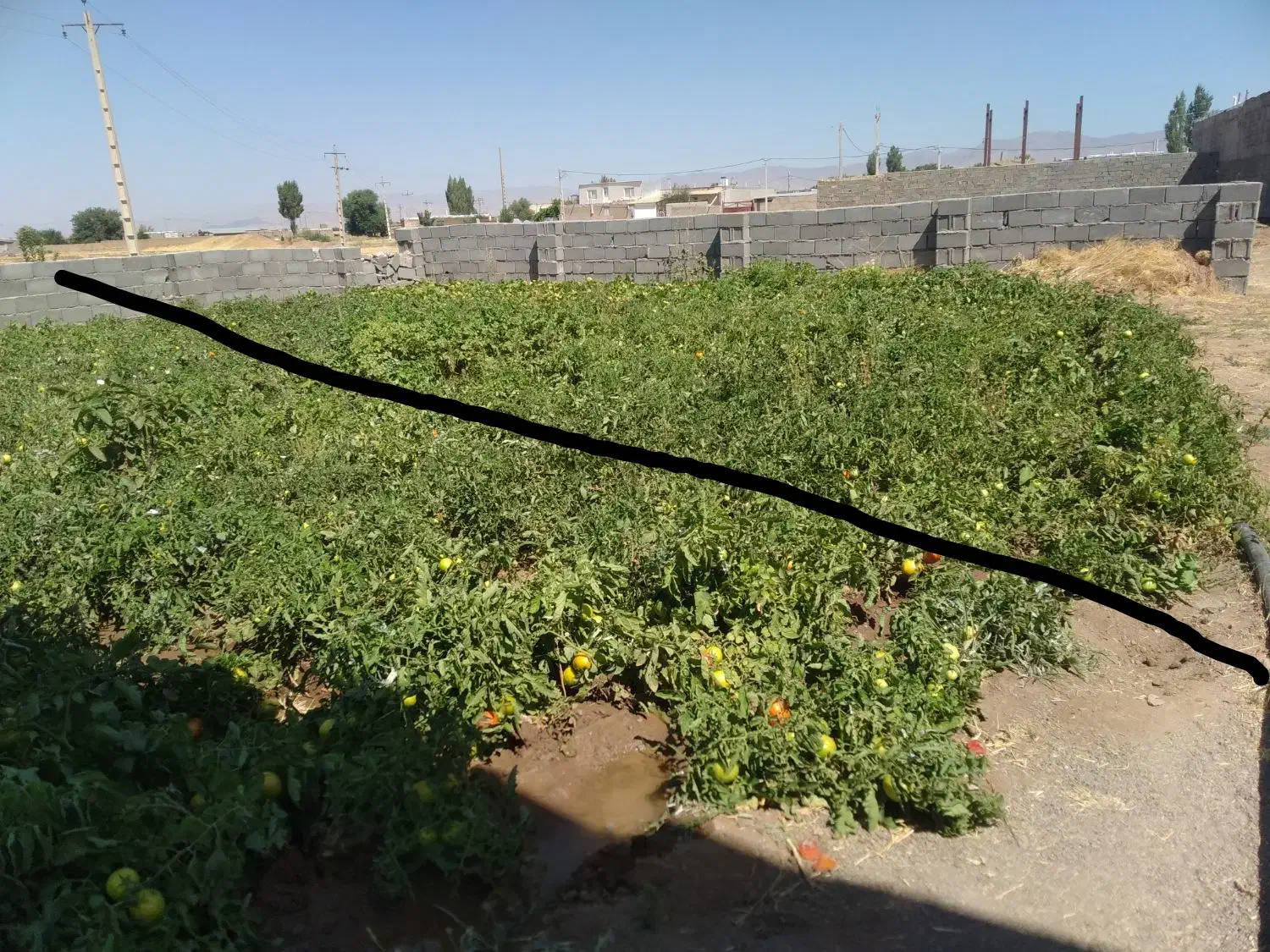 زمین مسکونی ۲۰۰ متری در قره بلاغ سلطانیه|فروش زمین و ملک کلنگی|باغ حلی, |دیوار