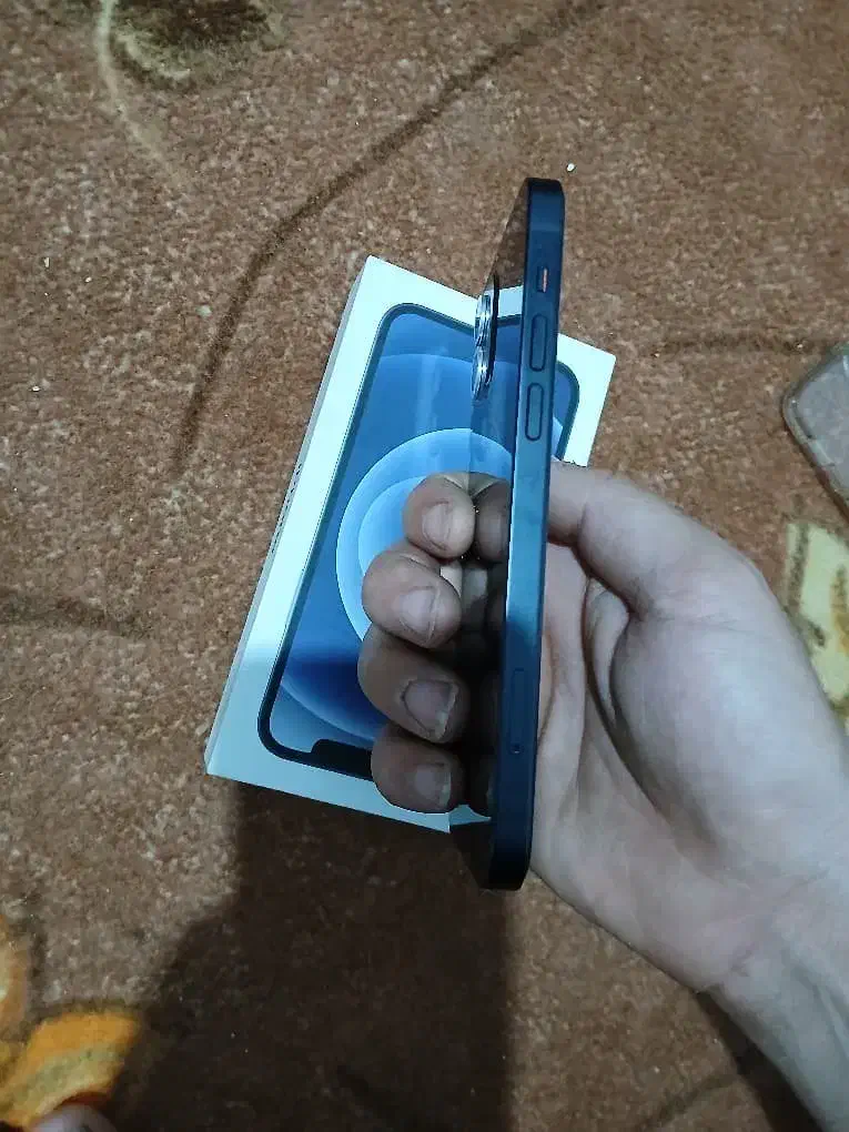 ایفون ۱۲ نرمال ۱۲۸ گیگ|موبایل|قدس, شهرقدس|دیوار