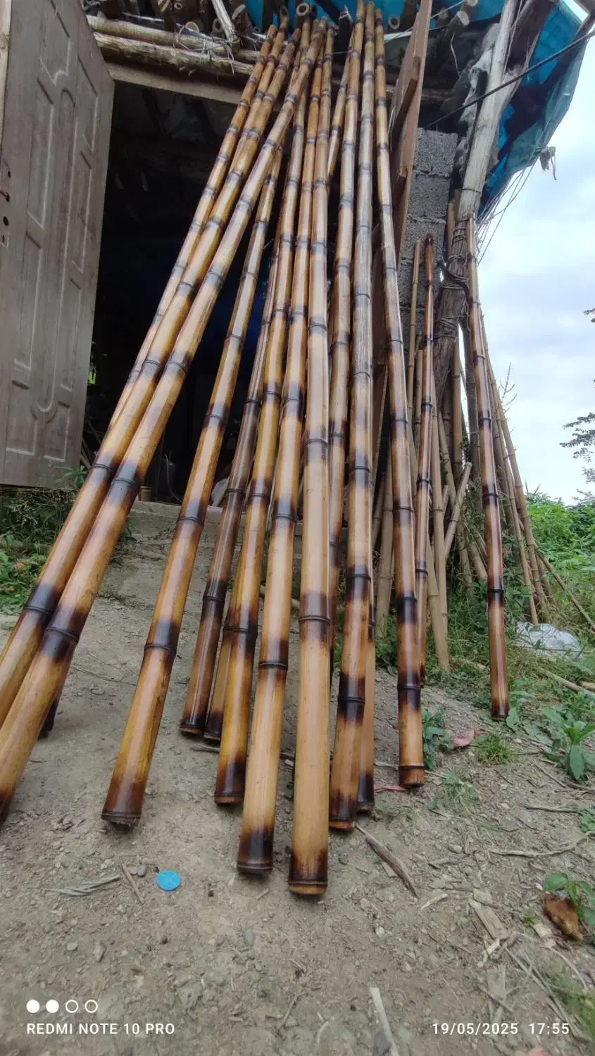 چوب زیبا برای هر چیزی ک ب ذهنتان خطور کند|خدمات باغبانی و درختکاری|شیراز, باغ تخت|دیوار