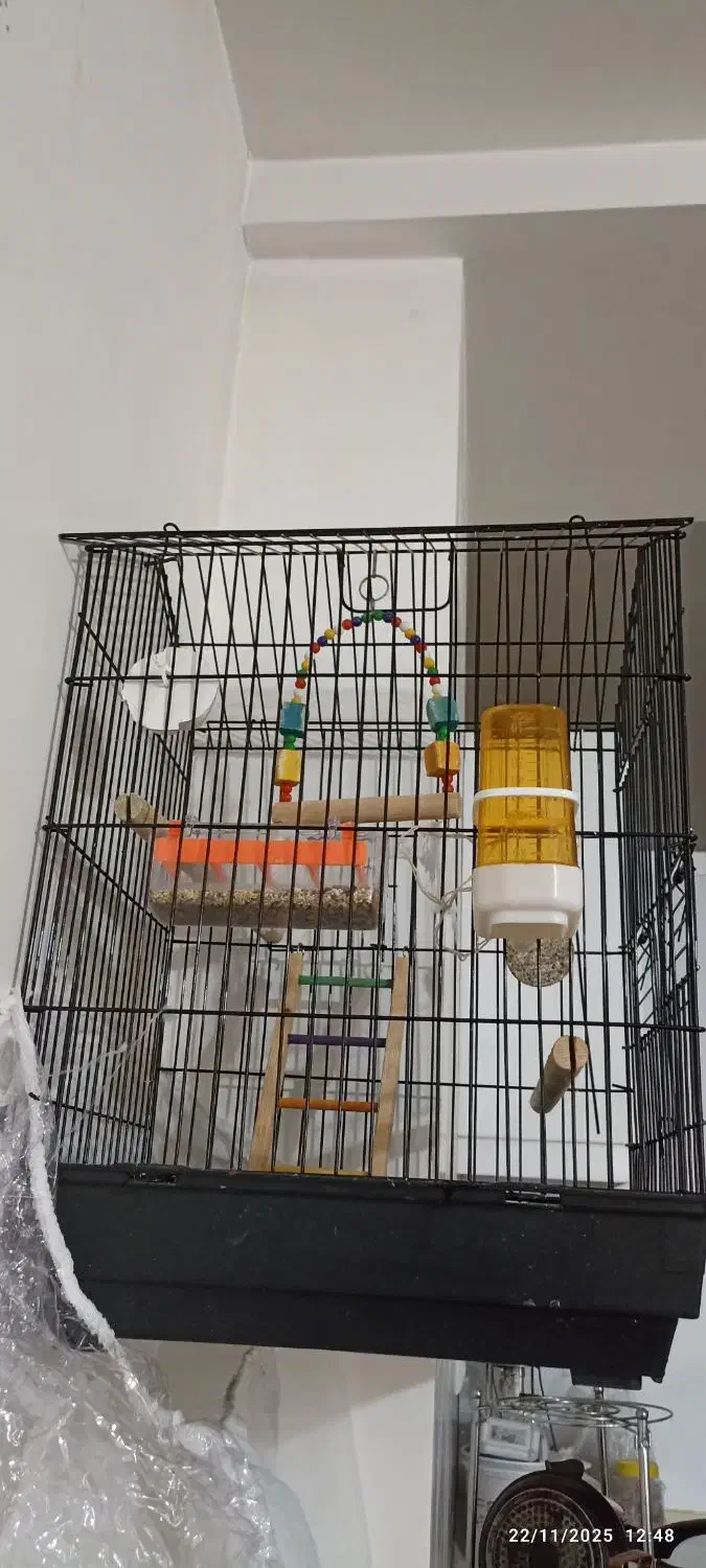 قفس با تمام وسایلش|لوازم جانبی حیوانات|سبزوار, فیاض|دیوار