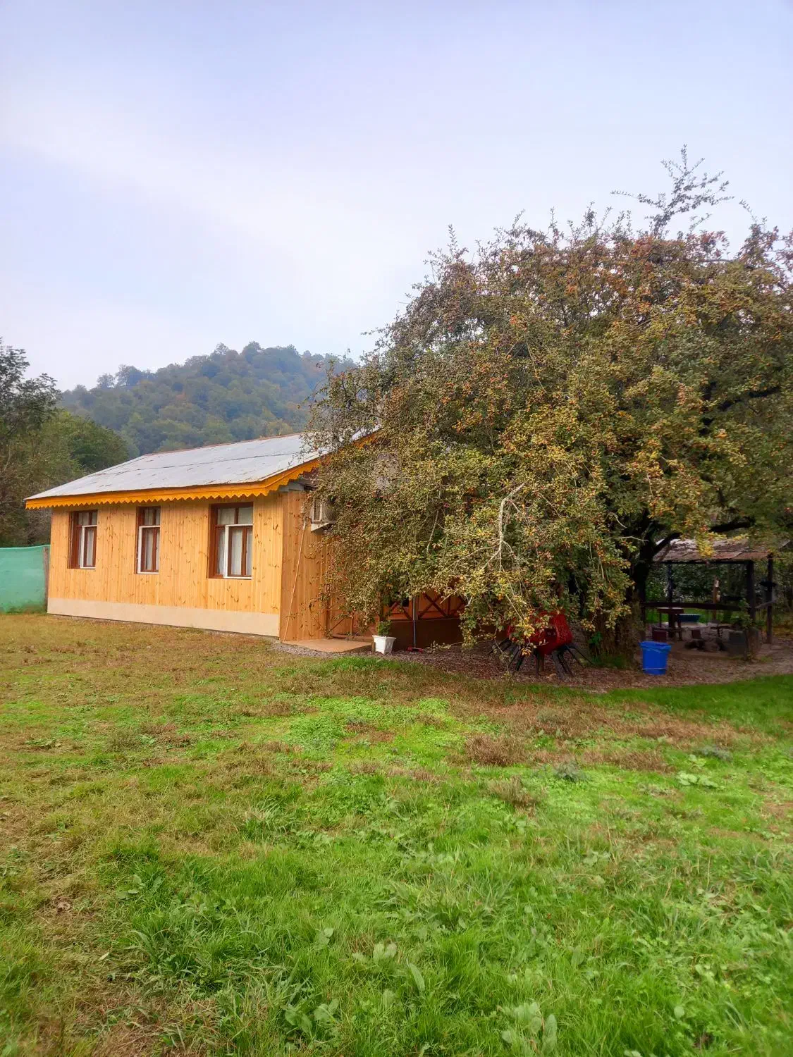 کلبه جنگلی آرامش|اجارهٔ کوتاه‌مدت ویلا و باغ|تالش, جوکندان|دیوار