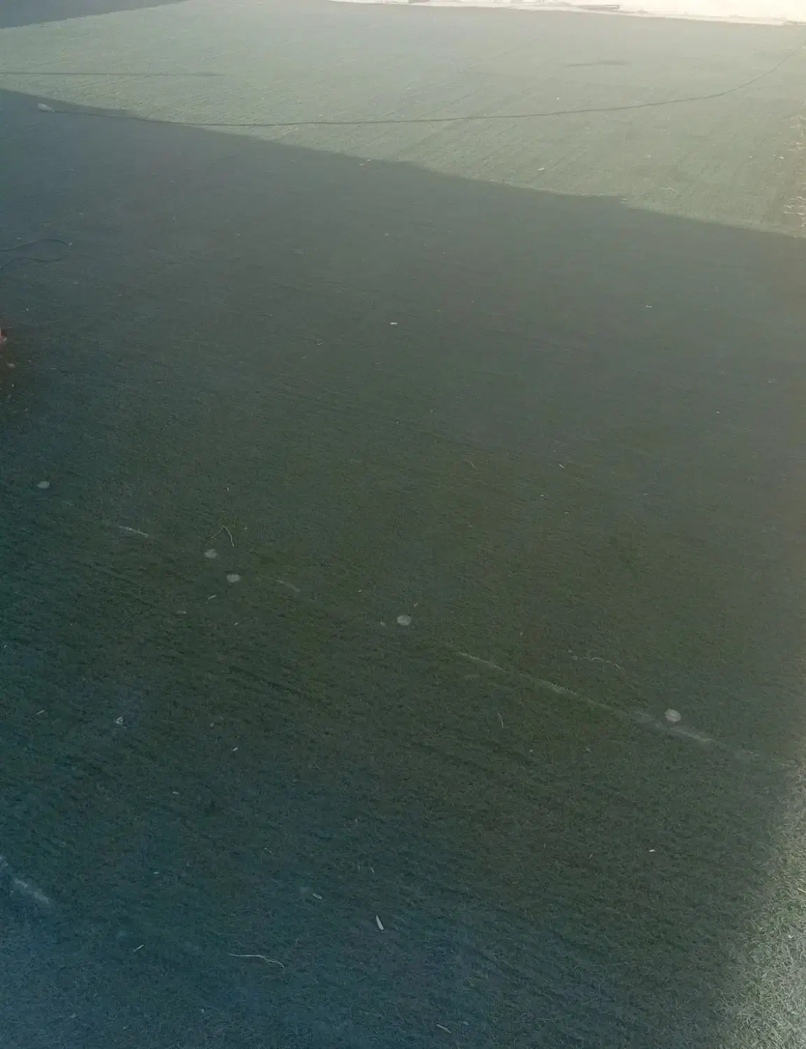 چمن مصنوعی|مصالح و تجهیزات ساختمان|دوگنبدان, |دیوار