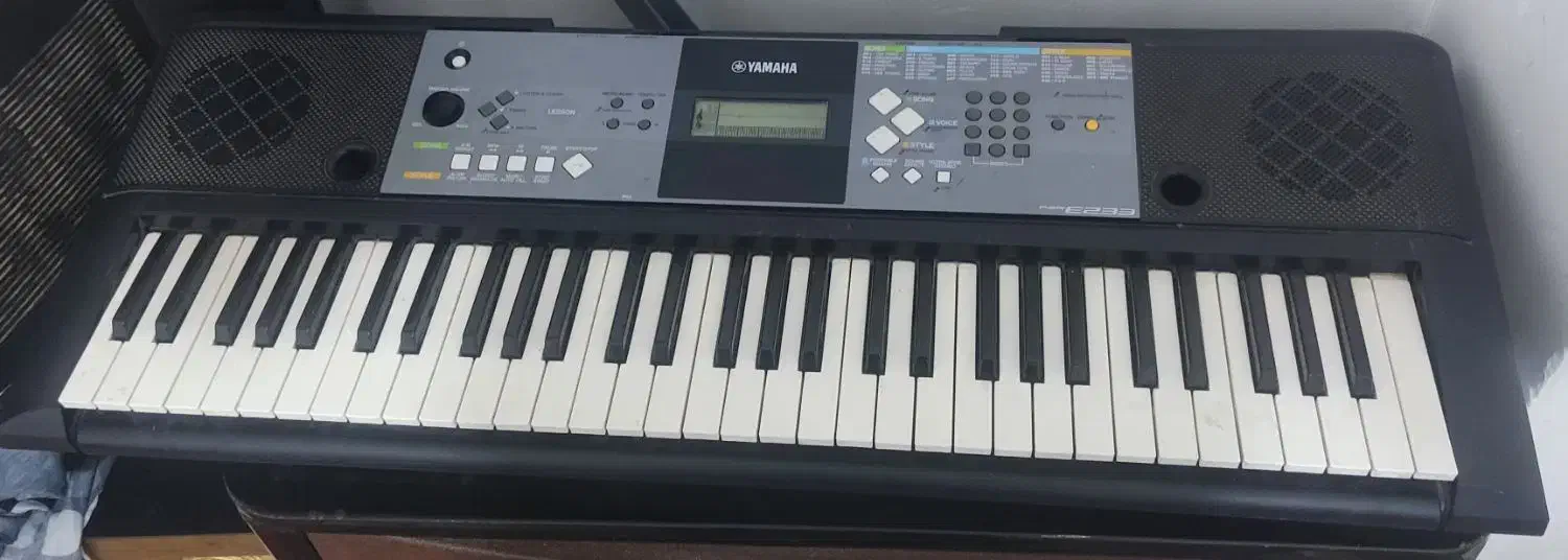 ارگ درحد نو|پیانو، کیبورد، آکاردئون|کاشمر, |دیوار