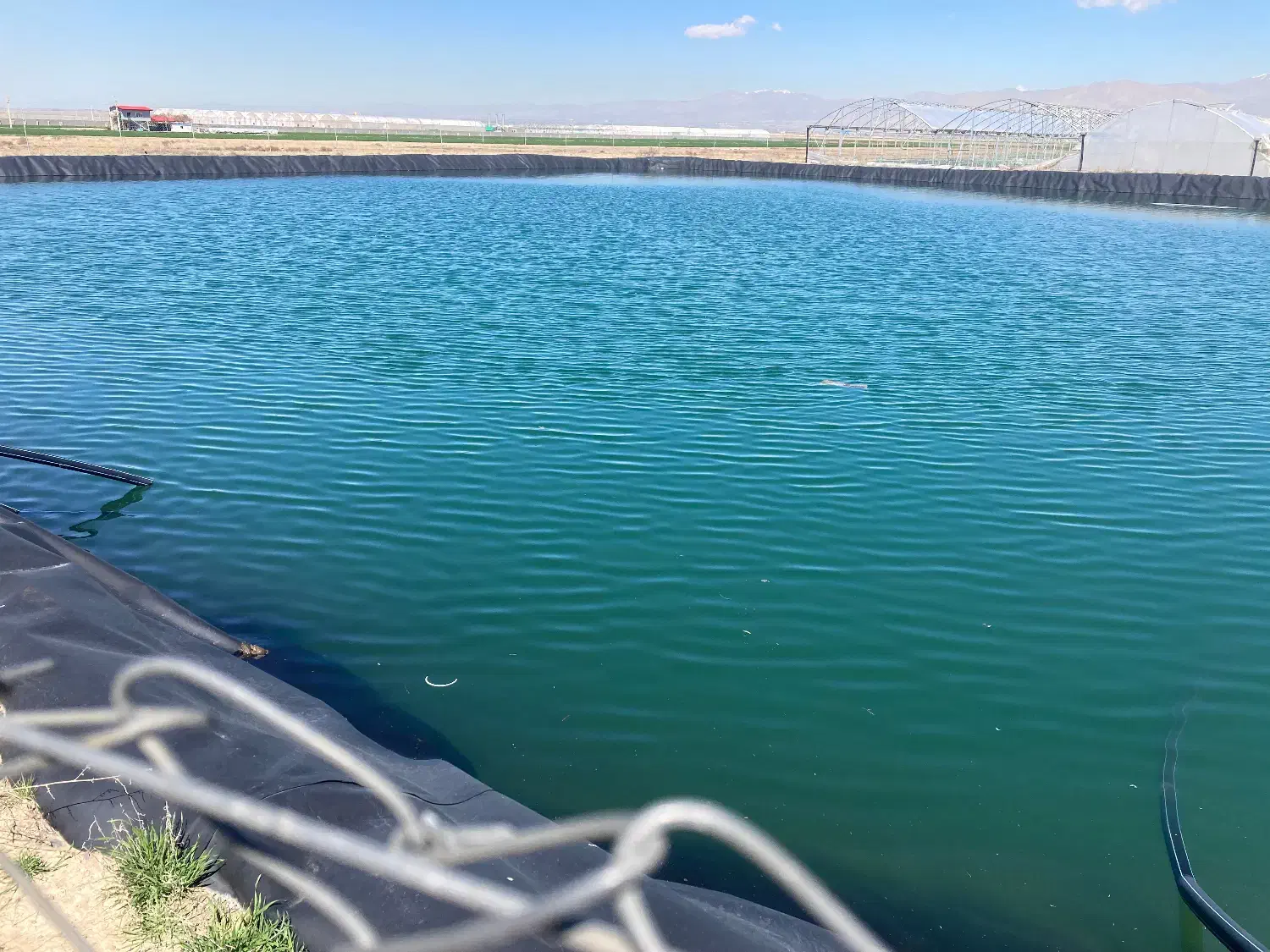 اجاره زمین کشاورزی ۵ هکتاری با ۱/۳ هکتار گلخانه|اجارهٔ دفتر صنعتی، کشاورزی، تجاری|نظرآباد, شهرک صنعتی سپهر|دیوار