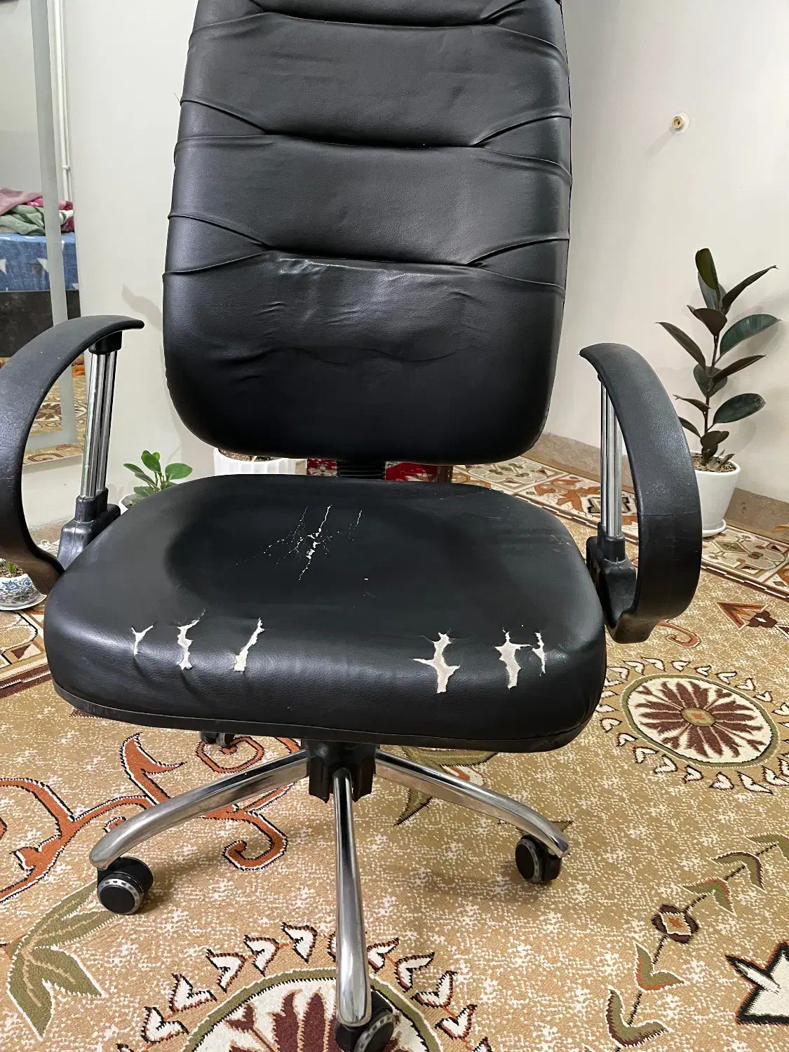 صندلی چرخ دار|صندلی و نیمکت|خورموج, |دیوار