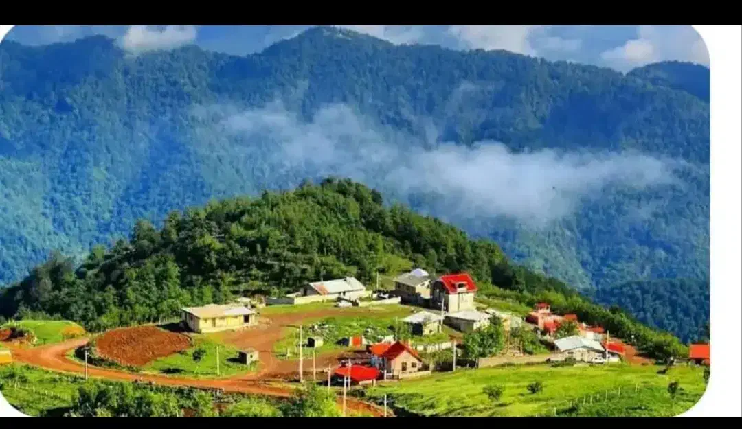 نظافتچی خانم|خدمات نظافت|زاهدان, |دیوار