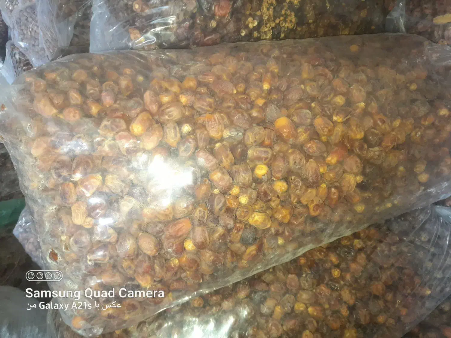 خرما انواع صنعتی ش|عمدهفروشی|کارون, |دیوار