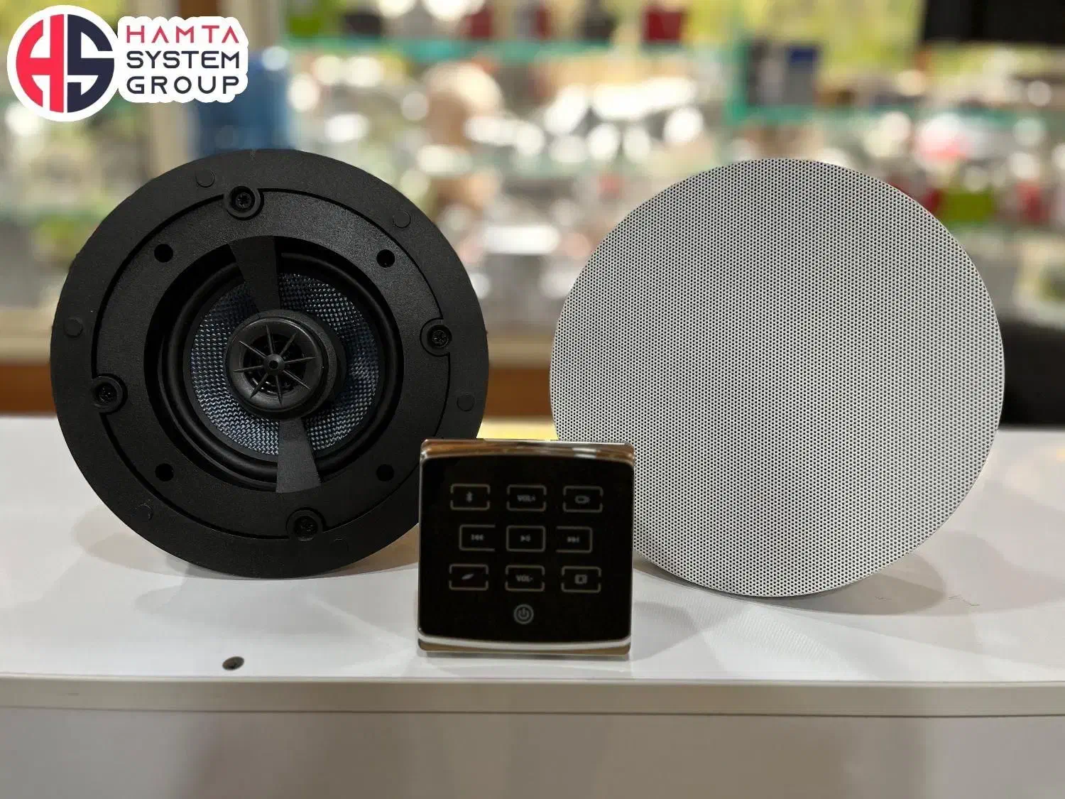 اسپیکر سقفی مدل ETS30 تایوان|سیستم صوتی خانگی|شیراز, سینما سعدی|دیوار